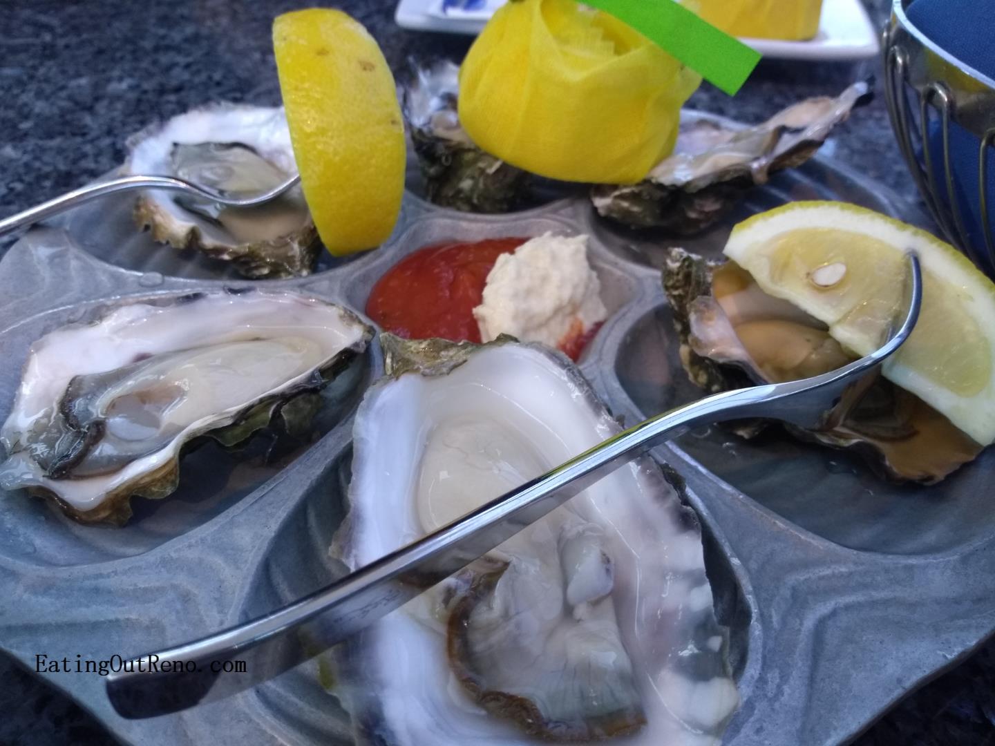 appetizer_oysters-raw